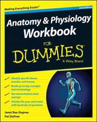 Anatomy & Physiology Wrkbk 2Nd Edition