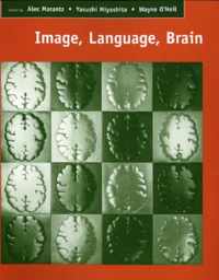 Image, Language, Brain