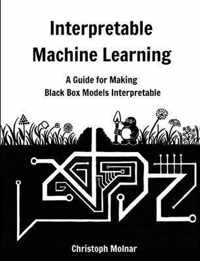 Interpretable Machine Learning