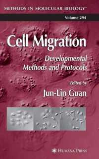 Cell Migration