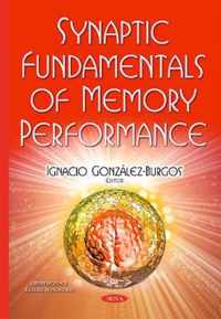 Synaptic Fundamentals of Memory Performance