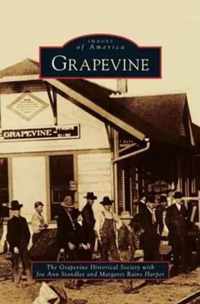 Grapevine