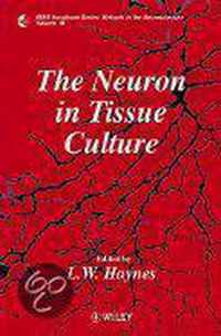 The Neuron in Tissue Culture