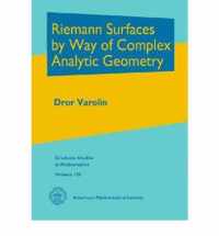 Riemann Surfaces by Way of Complex Analytic Geometry