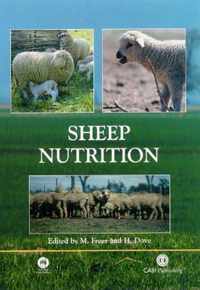 Sheep Nutrition