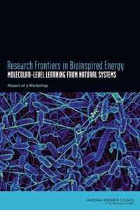 Research Frontiers in Bioinspired Energy: Molecular-Level Learning from Natural Systems