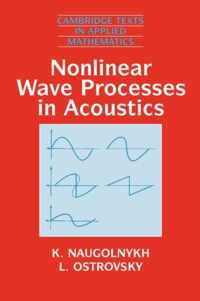 Nonlinear Wave Processes in Acoustics