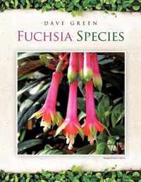 Fuchsia Species