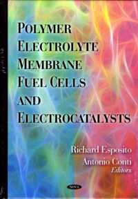 Polymer Electrolyte Membrane Fuel Cells & Electrocatalysts