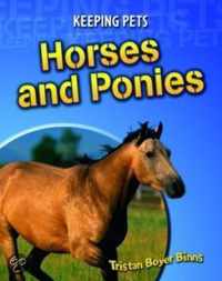 Horses And Ponies