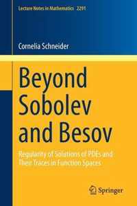 Beyond Sobolev and Besov