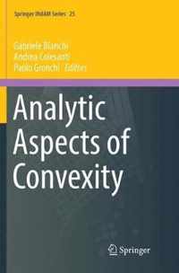 Analytic Aspects of Convexity