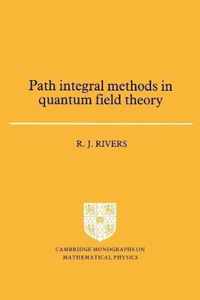 Path Integral Methods in Quantum Field Theory