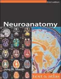 Neuroanatomy