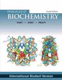 Voet's Fundamentals Biochemistry Global Edition