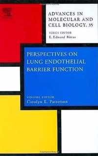 Perspectives on Lung Endothelial Barrier Function