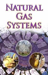 Natural Gas Systems