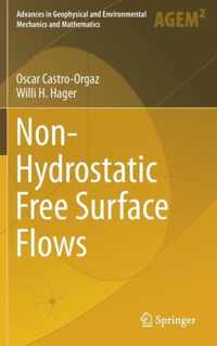 Non Hydrostatic Free Surface Flows