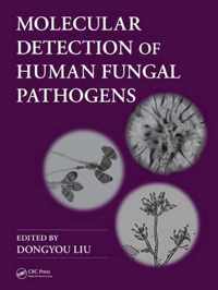 Molecular Detection of Human Fungal Pathogens