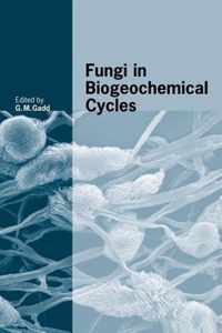 Fungi in Biogeochemical Cycles