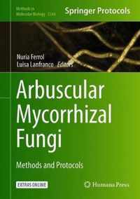 Arbuscular Mycorrhizal Fungi