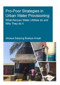 Pro-Poor Strategies in Urban Water Provisioning