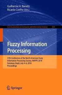 Fuzzy Information Processing