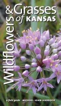 Wildflowers and Grasses of Kansas