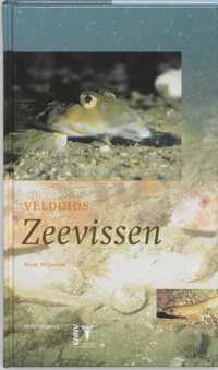 Veldgids Zeevissen