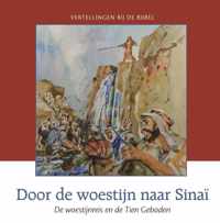 Door de woestijn naar sinai