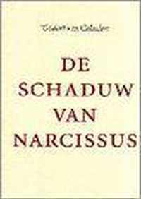 De schaduw van Narcissus