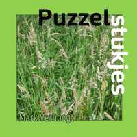 Puzzelstukjes