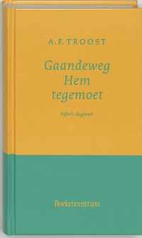 Gaandeweg Hem Tegemoet