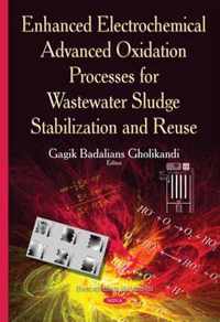 Enhanced Electrochemical Advanced Oxidation Processes for Wastewater Sludge Stabilization & Reuse