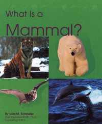 What Is a Mammal?