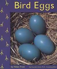 Bird Eggs