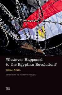 Whatever Happened To The Egyptian Revolution?