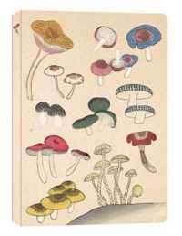 Healing Mushrooms Lined Paperback Journal