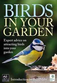 Birds in Your Garden