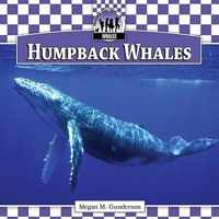 Humpback Whales