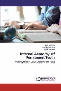 Internal Anatomy Of Permanent Teeth