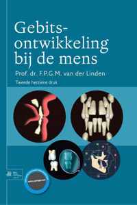 Gebitsontwikkeling bij de mens