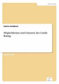 Moeglichkeiten und Grenzen des Credit Rating