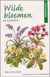 Wilde Bloemen In Europa