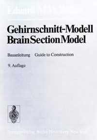 Gehirnschnitt-modell / Brainsection-model