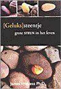 (Geluks)Steentje