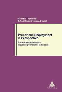 Precarious Employment in Perspective