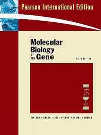 Molecular Biology of the Gene