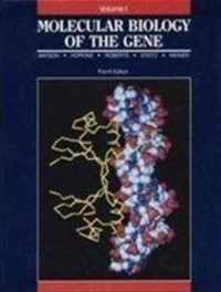 Molecular Biology of the Gene