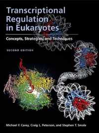 Transcriptional Regulation In Eukaryotes